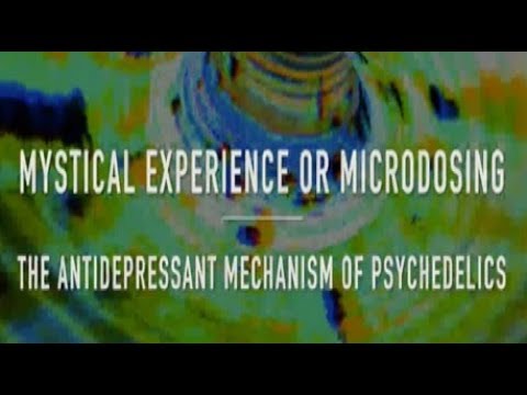 Video: Scientists Are Exploring Mystical Experience That Opens The 