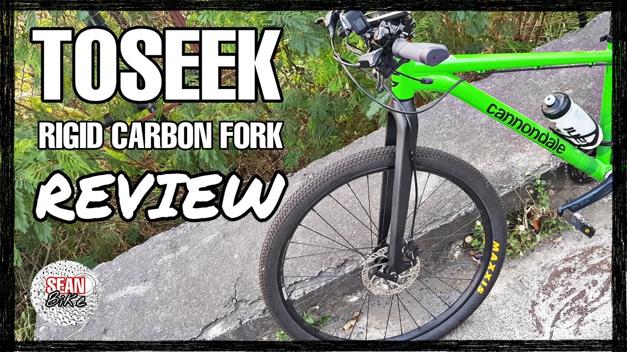 TOSEEK Carbon Fork Review Great Value Fork with a couple of issues