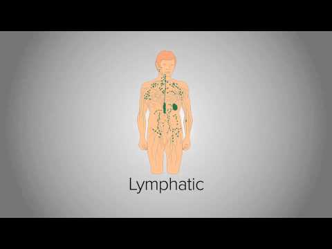 Organ System Overview - YouTube