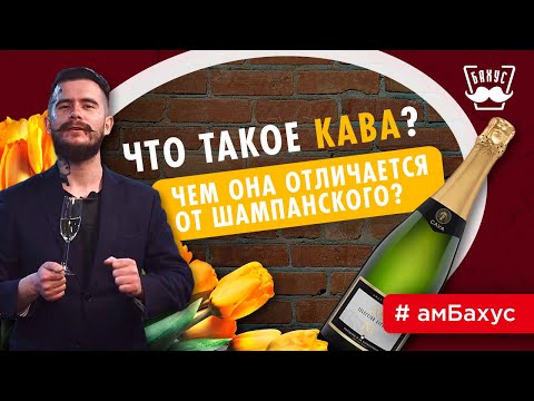 Видео: Что такое Кава: альтернативный кайф, о котором вам нужно знать