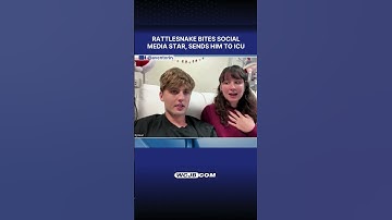 Rattlesnake bites social media star, sends him to ICU