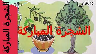 نص سماعي13الشجرة المباركةالمفيد  في اللغة العربيةالرابع ابتدائيناجية للتعليمnajia éducation