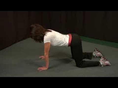 Lower Back Exercises : Lower Back Exercises: Cat R...