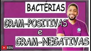 BACTÉRIAS- Gram POSITIVAS e Gram NEGATIVAS I MICROBIOLOGIA I  Prof. Michael Bryan