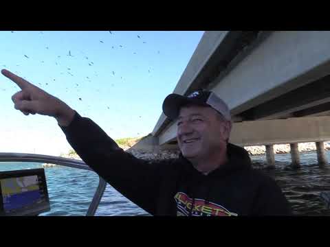 Devils Lake Walleye