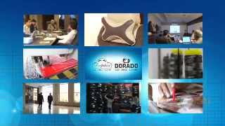 apn auto innovators film