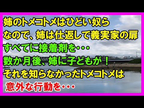 【スカッとする話】姉のトメコトメはひどい人達。姉は仕返しに、義実家の扉全てに接着剤をつけた！数ヶ月後、姉に子供がそれを知らなかったトメコトメは意外な行動を…（スカッとカーニバル）