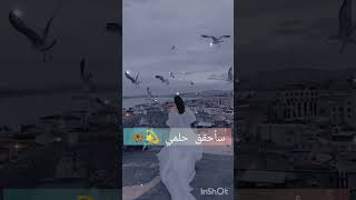 لا تنسوا الاشتراك في قناتي ️