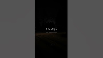 فَإِنَّ مَعَ العُسرِ يُسرًا   محمد صديق المنشاوي   سورة الشرح