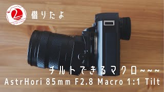 AstrHori 85 F2.8 Macro1:1 Tiltニコン Z Amazon.co.jp: AstrHori アストロリ 85mm F2.8 Macro 1:1 Tilt