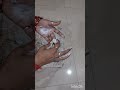 Smoke ShivLing craft
