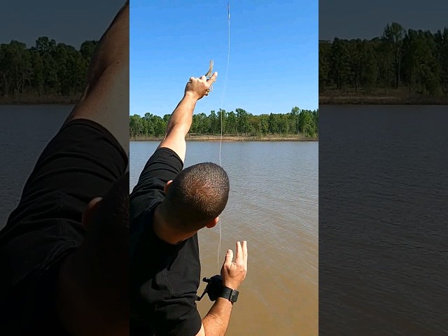 Fishing like Spiderman #catapult #slingshot class=