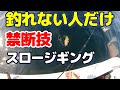 禁断技伝授！根魚スロージギング　釣れない時だけ使ってください。　2022年10月28日釣行　100種釣りチャレンジ中！63/100