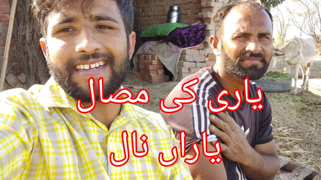YouTube youtube