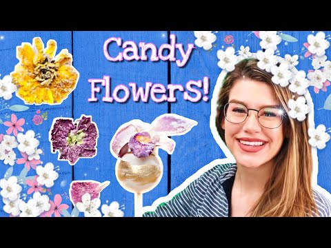 candied-edible-flowers-for-cake-decorating