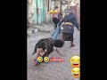 حلو اعجبني الشيبه أخذ حقه بالعصاء اكسبلور اليمن ضحك 