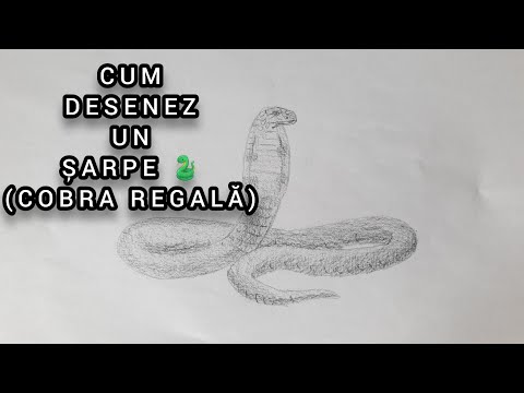 Video: Cum Să Desenezi O Cobră