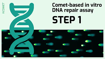 STEP 1: Preparation of substrate cells // Comet-based in vitro DNA repair assay