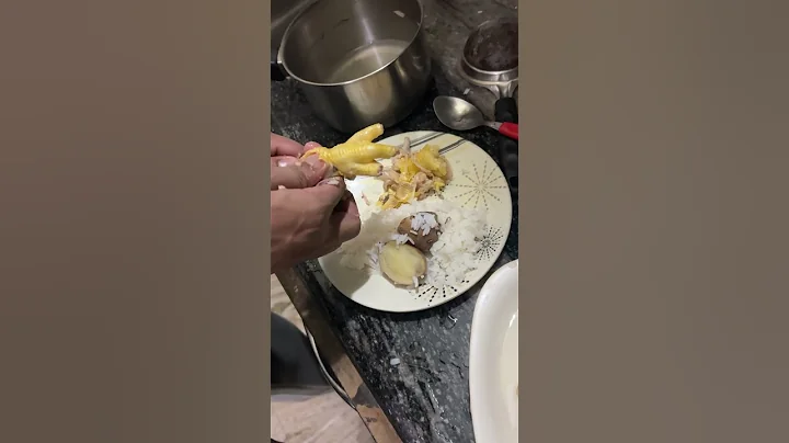 Video 11763421: persian cat food