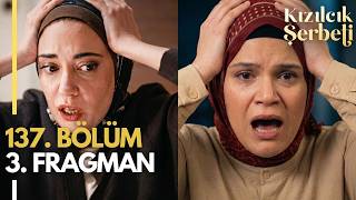 Cranberry Sherbet Episode 137, Trailer 3 Is Elif Pregnant? 3 People Died In The Series