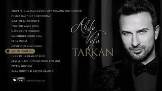 Tarkan - Aşk Bu Değil Mi Resimi