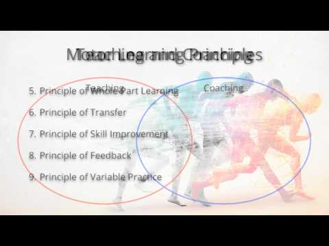 KIN 345 Motor Learning Principles