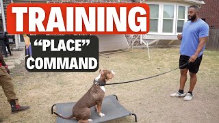 My Dog Won't STAY!?!?! (Training 'Place' Command)