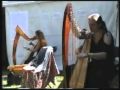 Dark Island (harp version) by &quot;Kelten Zonder Grenzen&quot;