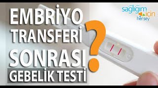 Embriyo Transferi Sonrasında Gebelik Testi