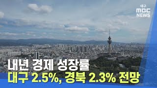 [대구MBC뉴스] 내년 경제 성장률, 대구 2.5%, 경북 2.3% 전망