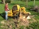 Stump grinding