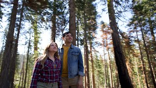 Yosemite and Beyond in Madera County, California by Visit The USA 149 views 8 days ago 3 minutes, 51 seconds