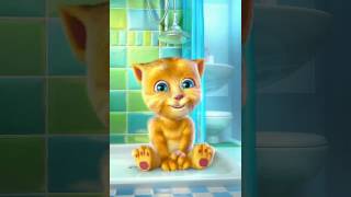 Pagal billi