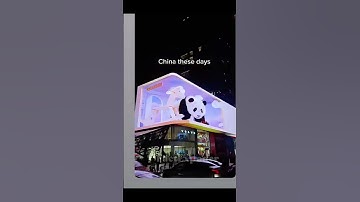 “From 14% to 5%: China’s Growth Crash Course, Then & Now