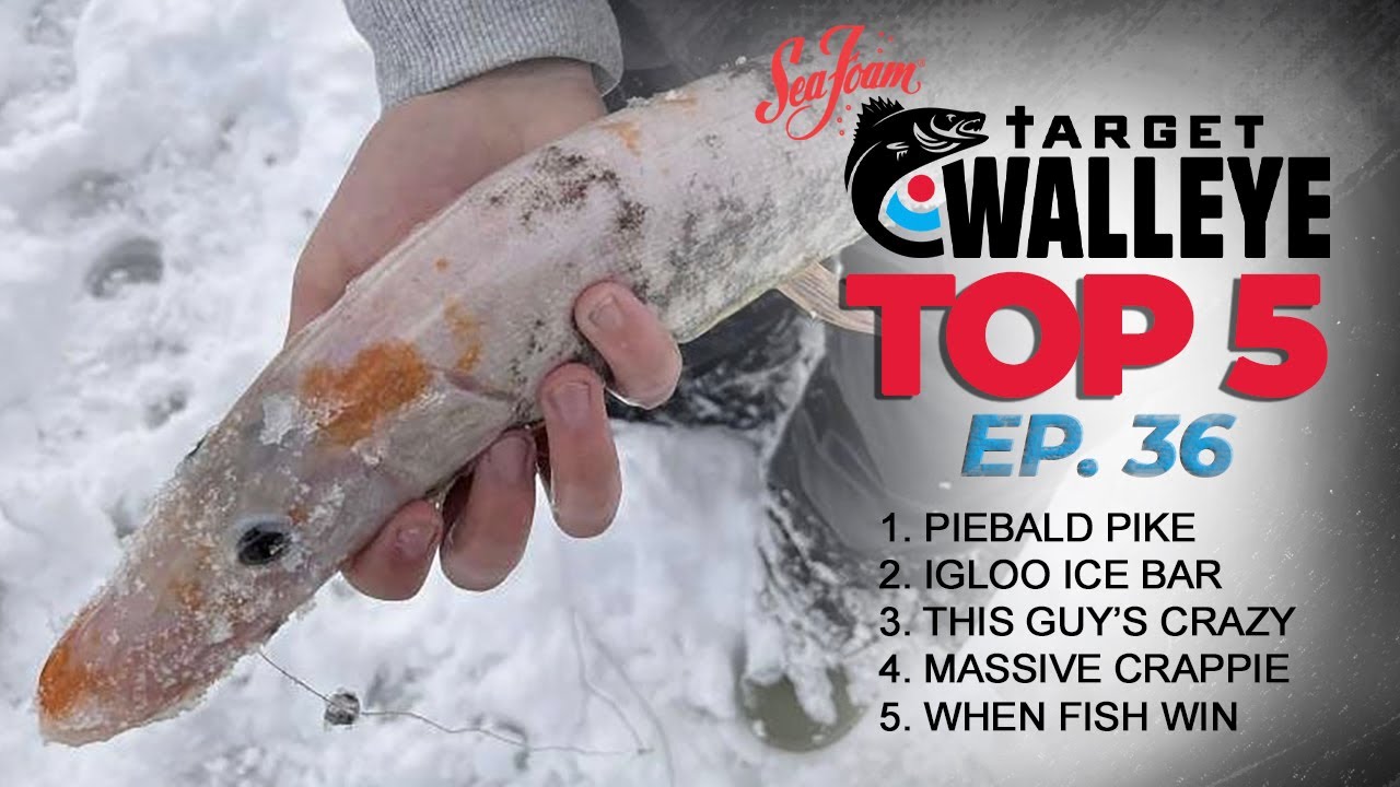 Sight fishing walleye vid, DIY ice rod holder, Melons of the week – Target  Walleye