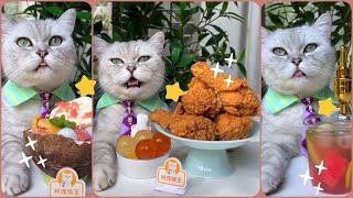 MÈO NẤU ĂN | CAT CAN COOK  | DELICIOUS FOOD ON CHINESE TIKTOK | DOUYIN #4