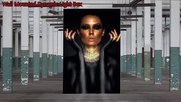 Dynamic LightBox (Programmable)