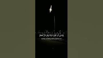 كتب عليكم القتال وهو كره لكم 😴❤.  |القارئ راشد العفاسي  |  راحه نفسيه
