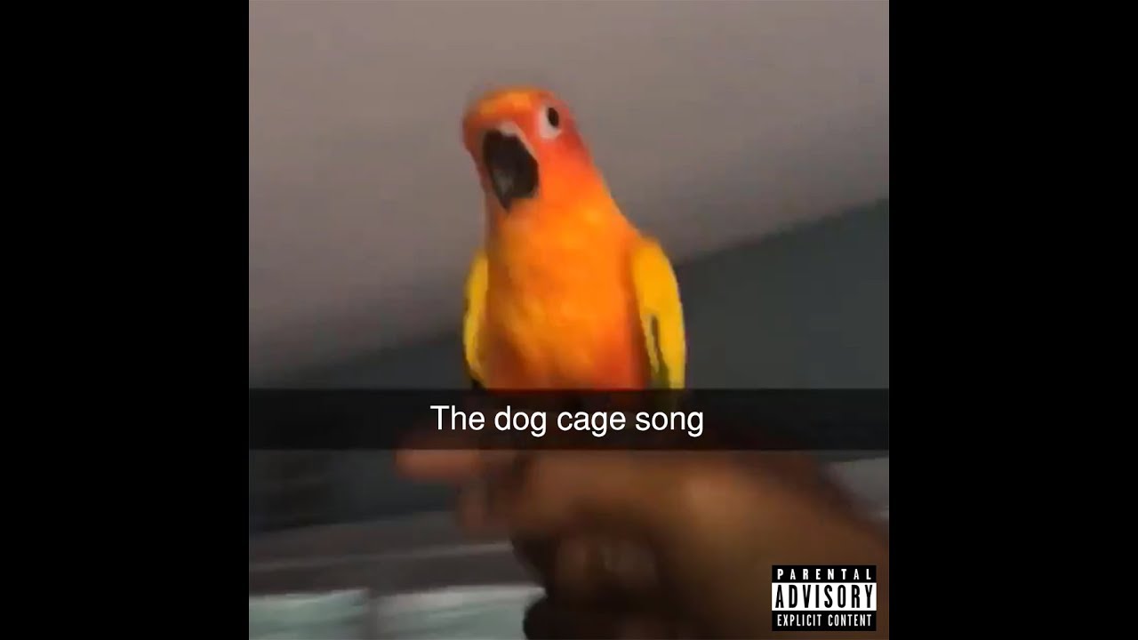 all dogs in the cage