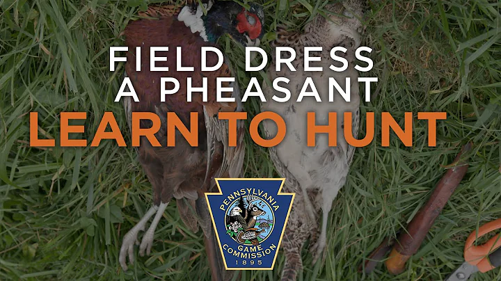 Learn To Hunt: Field Dress a Pheasant