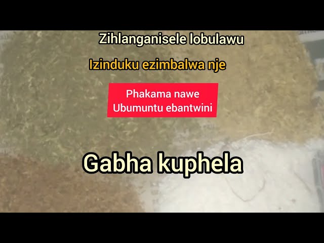 Ubulawu obungasukumi phansi class=