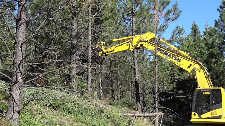 Wild Honey Excavating - Jim & Michael Angell, Owne...