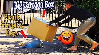 Big Box vs Sleeping Dogs Prank Very Funny Challenge 2021 - Try Not To Laugh - Best Prank Dogs 2021