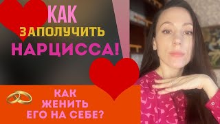 видео: Как женить нарцисса на себе? Нарцисс будет мой! картинка: Как женить нарцисса на себе? Нарцисс будет мой!