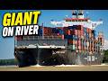 Incredible Ship Spotting at Long Tau River, Can Gio