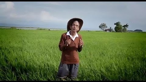 A World Changed: 100 Years of Philanthropy