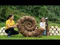 Harvest 1000+ Kg Of Wild Swamp Taro Goes to market sell | My Daily Life