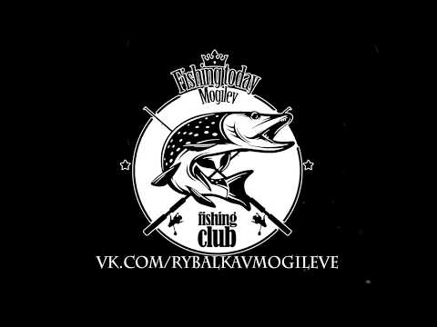 Fishing Today видео
