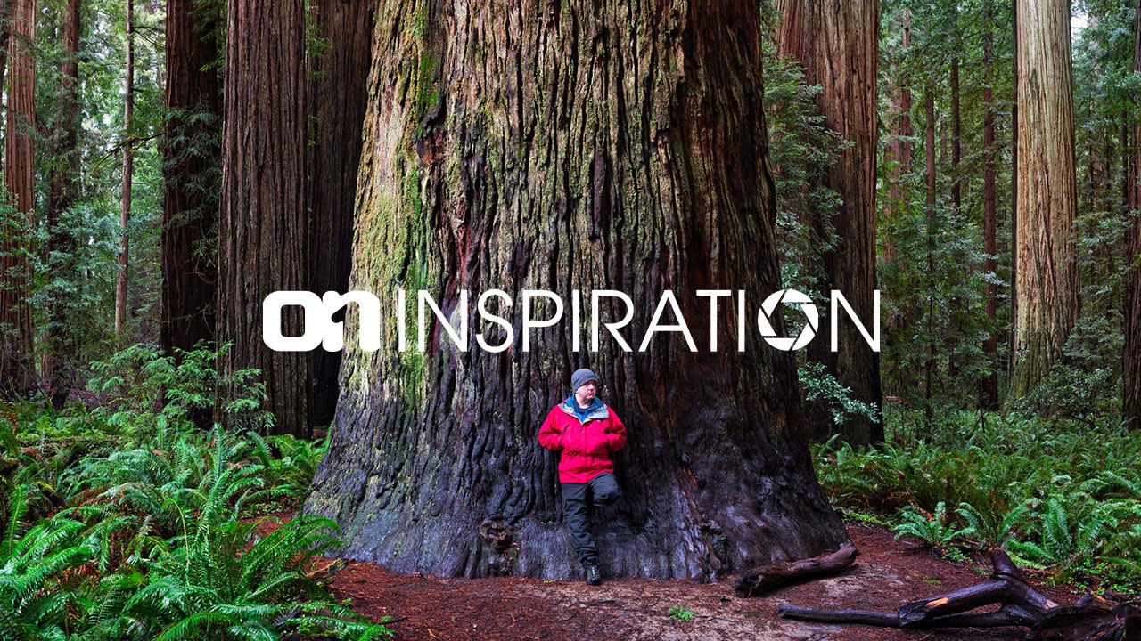 ON1 Inspiration – Episode 1: Styling the Mighty Redwood