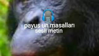 Eşek Olmak Kolaymı? Masal Sesli Metin Masal